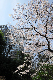 image0147