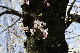 image0148