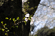 image0149