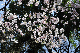 image0154