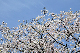 image0159