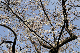 image0175