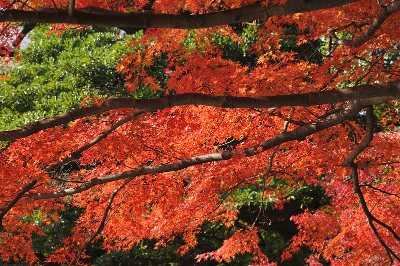 image0109