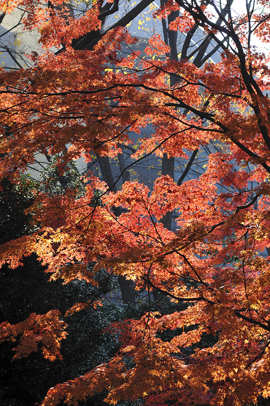 image0112