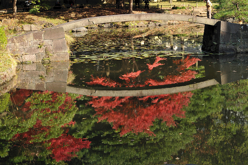 image0143