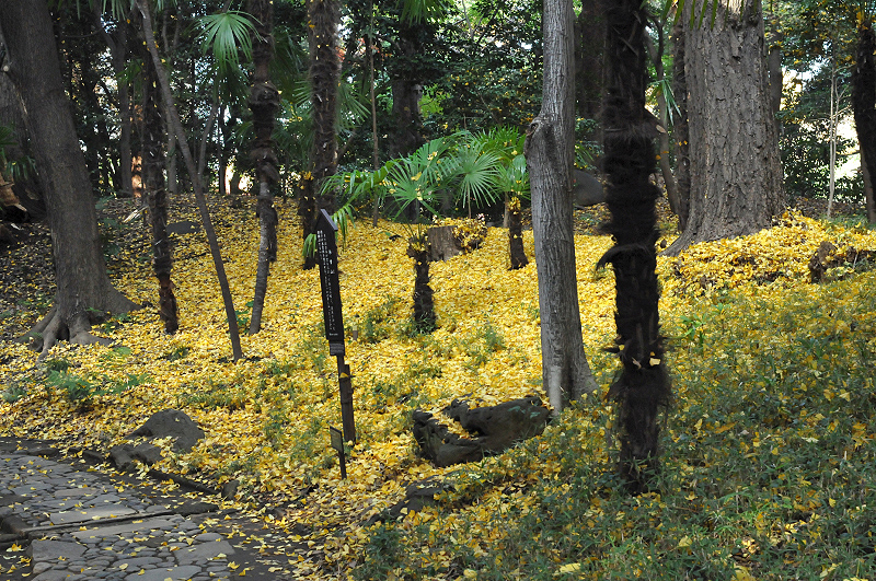 image0148