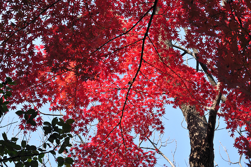 image0157