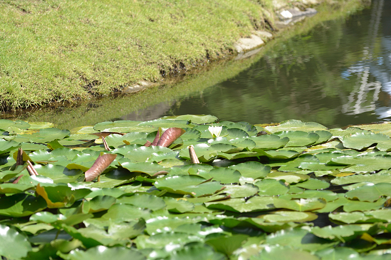 image0097