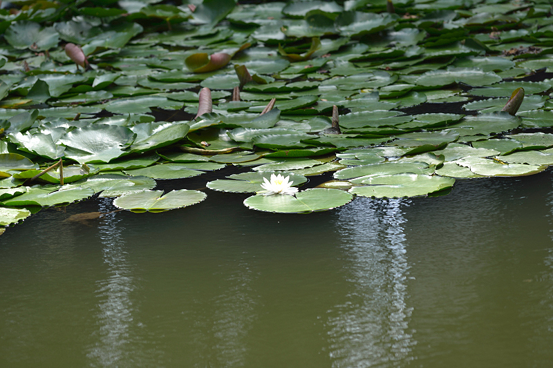 image0099
