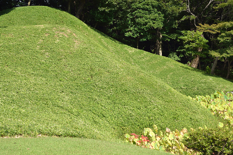 image0109