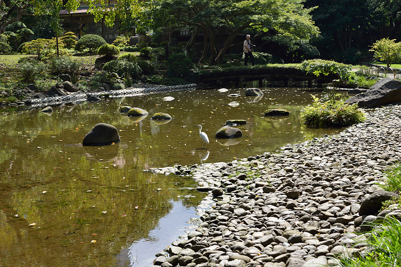 image0125