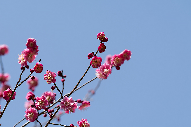 image0097