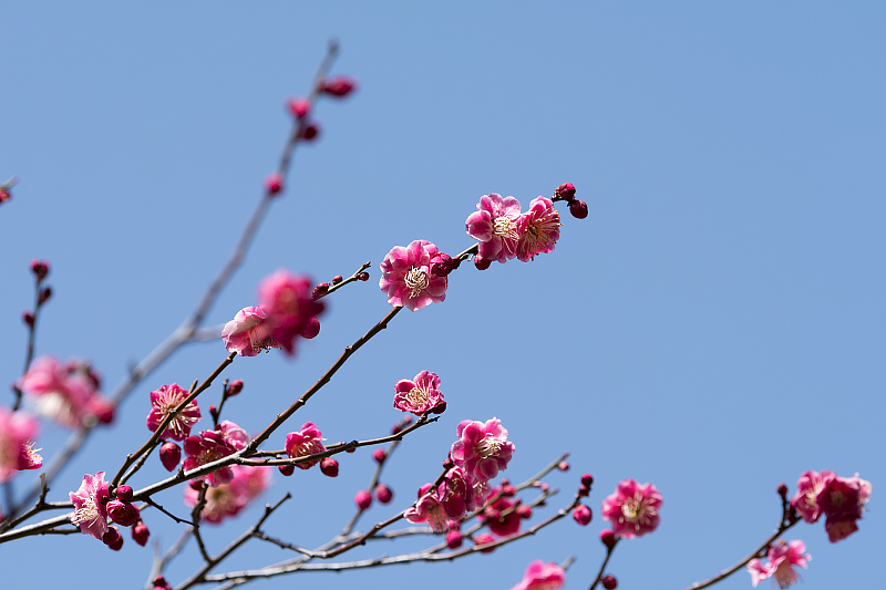 image0101