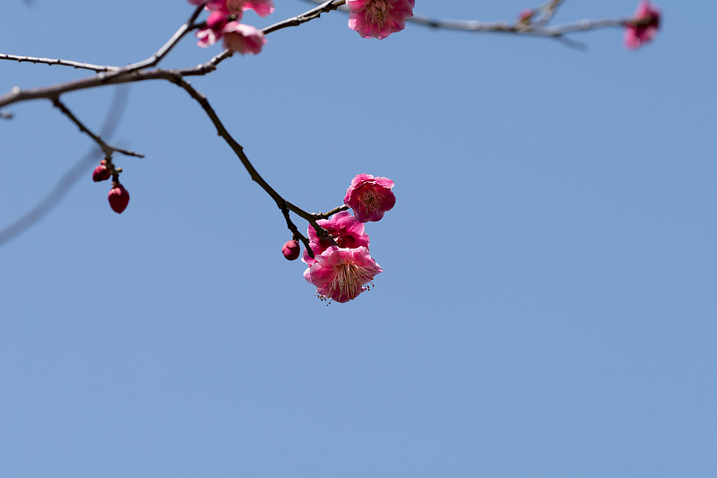 image0102
