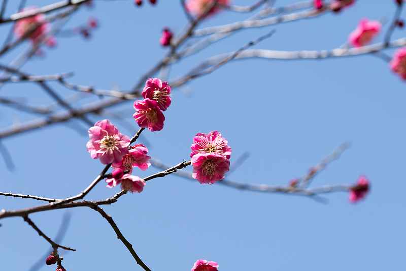 image0103