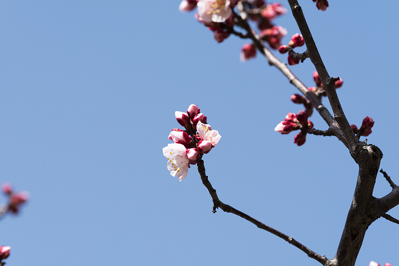 image0117