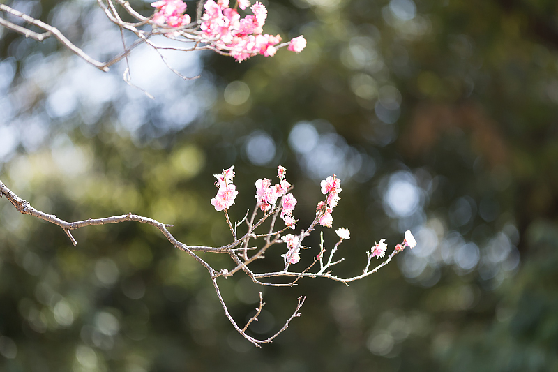 image0127