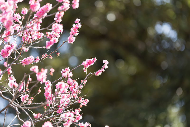 image0128