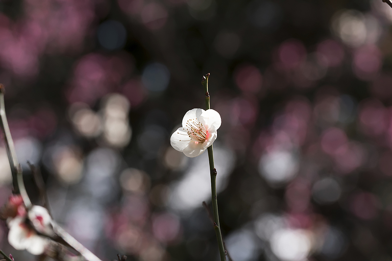 image0143