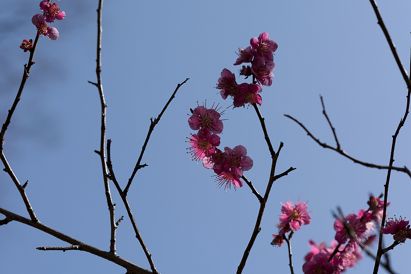 image0145