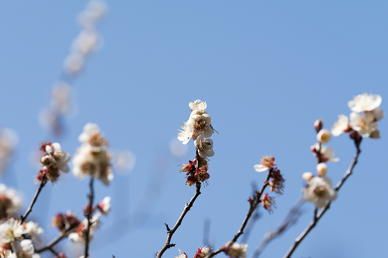 image0149