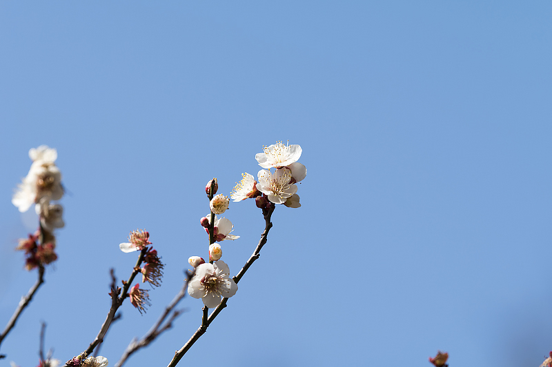 image0150