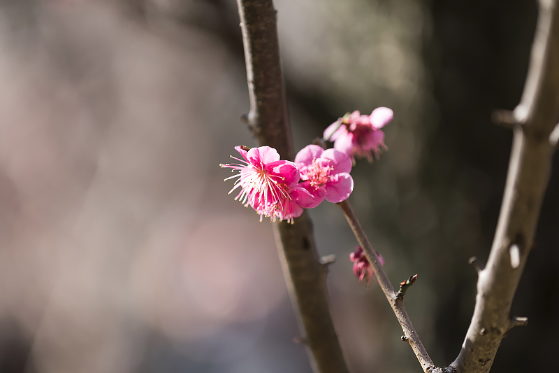 image0155