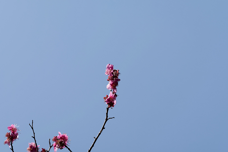 image0161