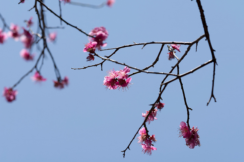 image0167