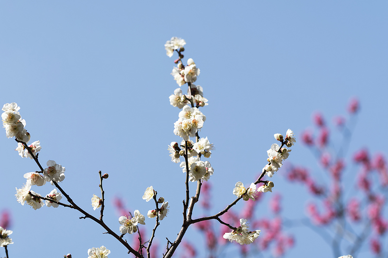 image0175