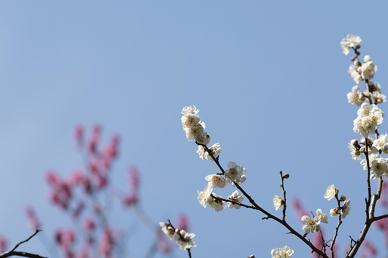 image0176