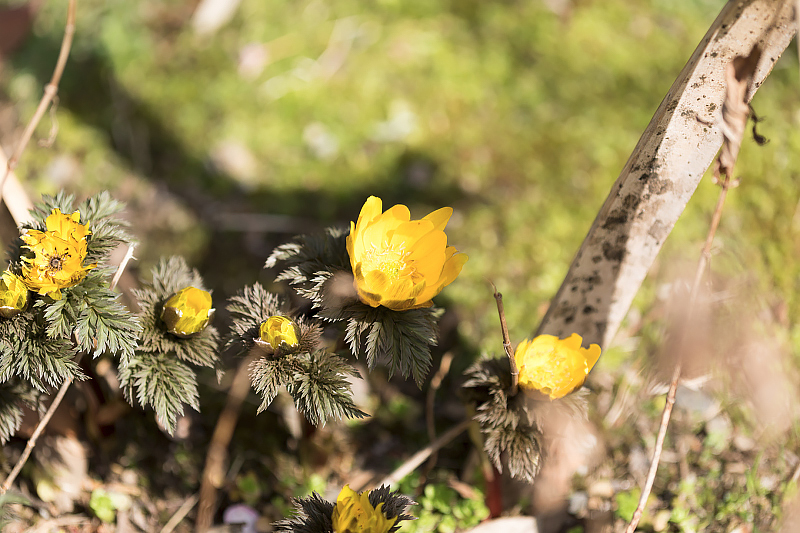 image0189