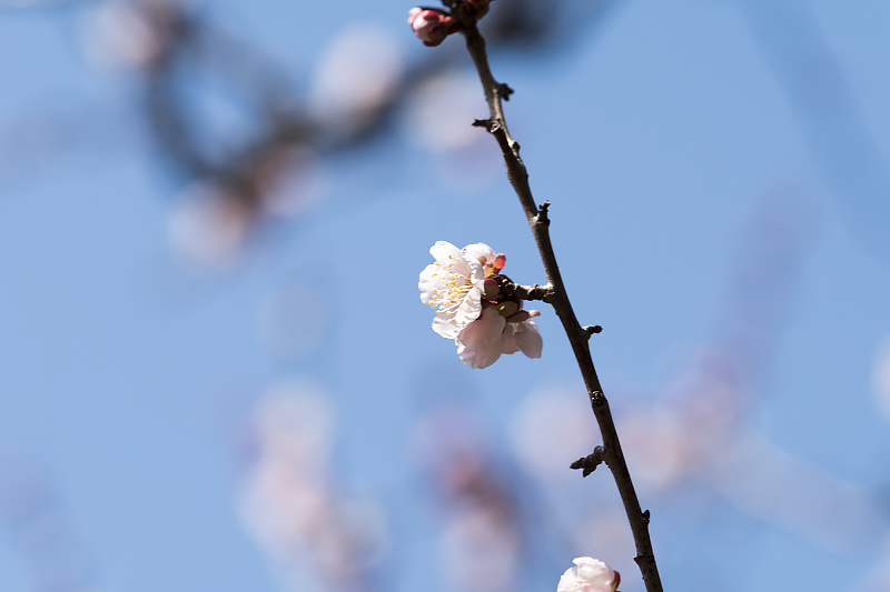 image0194