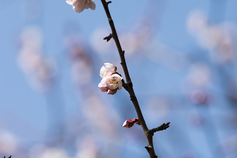 image0195