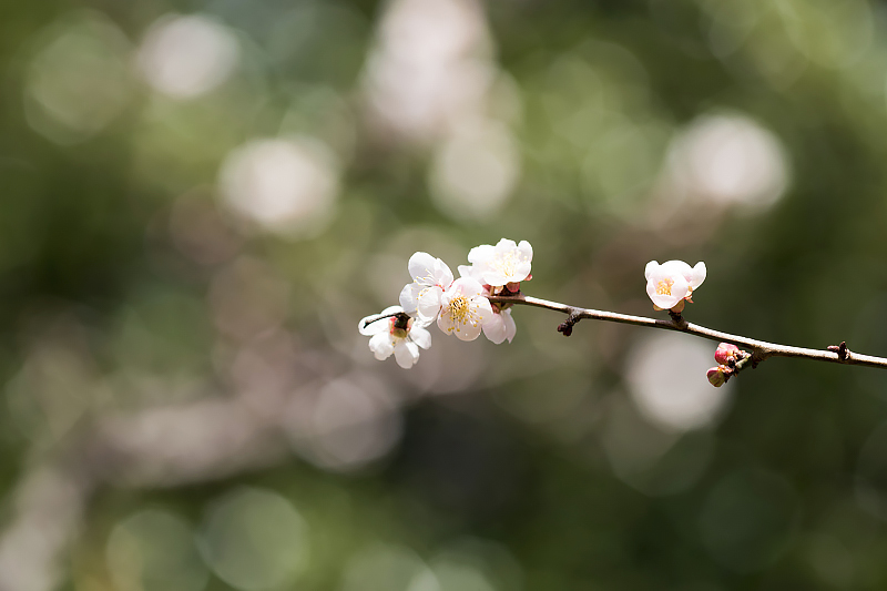 image0202