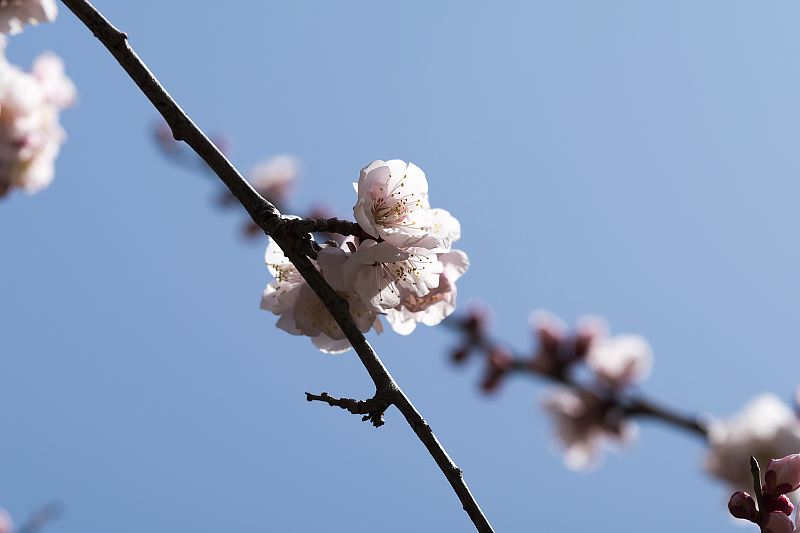 image0205