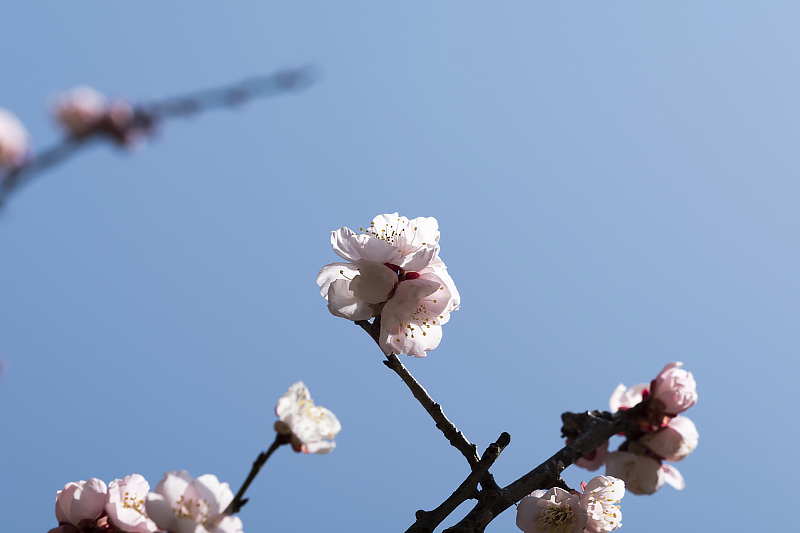 image0207