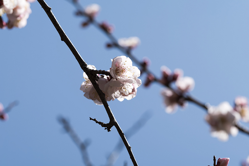 image0216