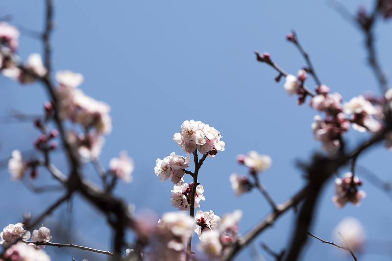 image0217