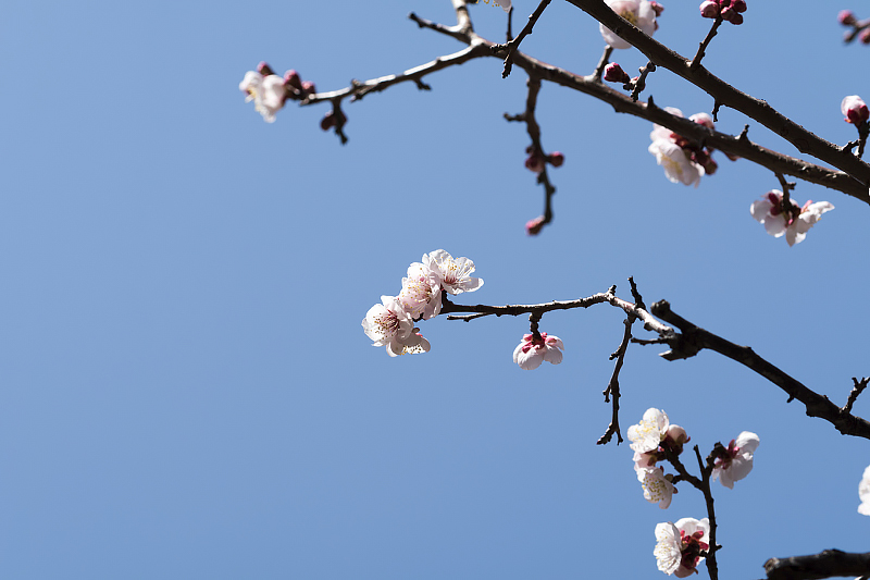 image0218