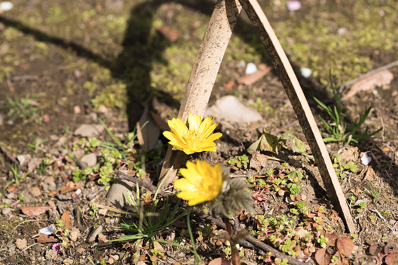 image0220