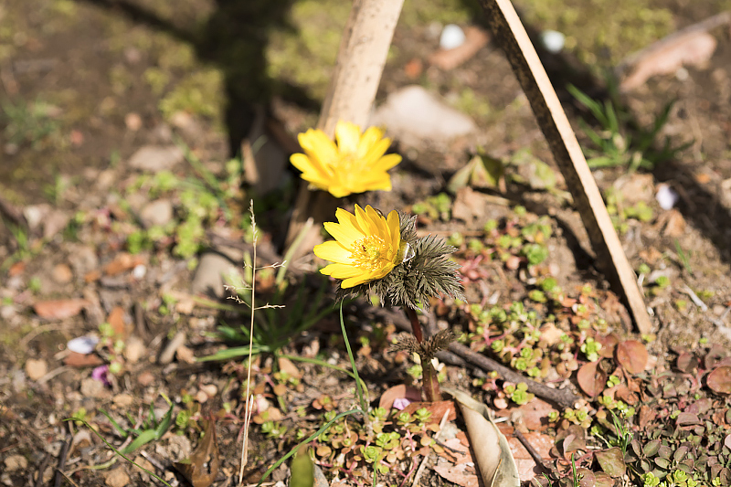 image0221