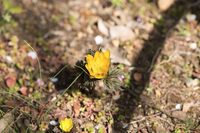 image0222