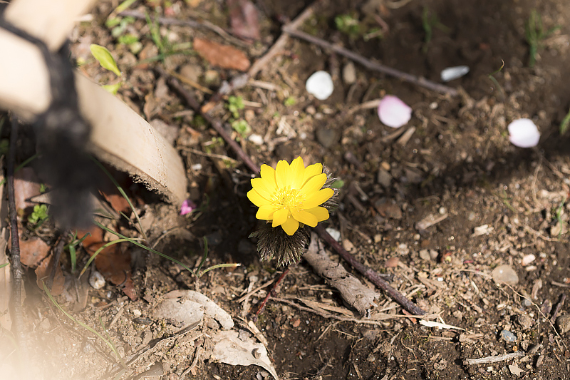 image0223