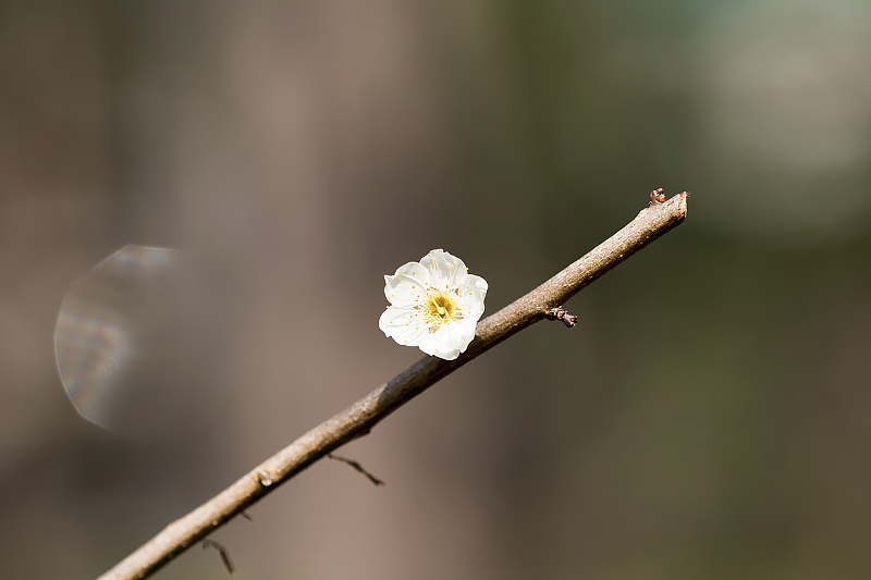 image0224