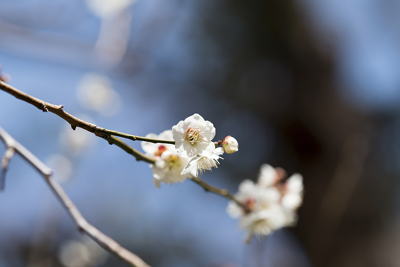 image0227