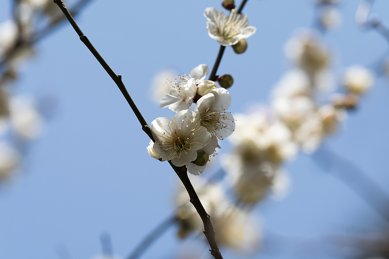 image0230