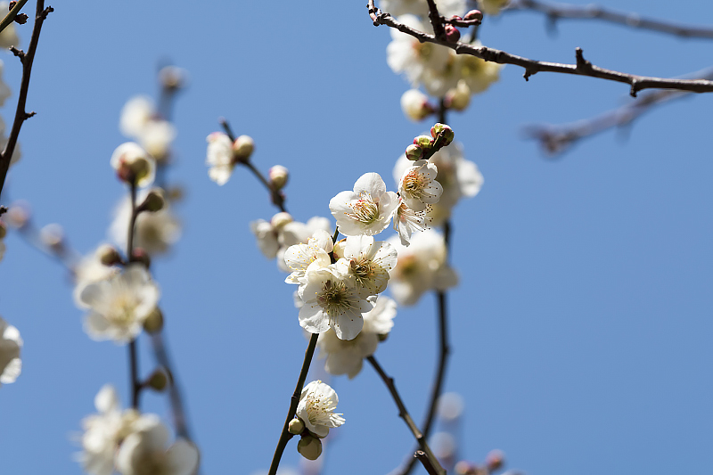 image0235