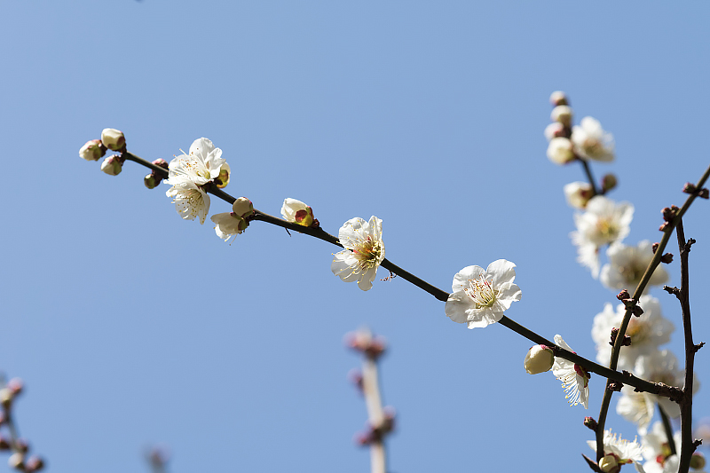 image0236