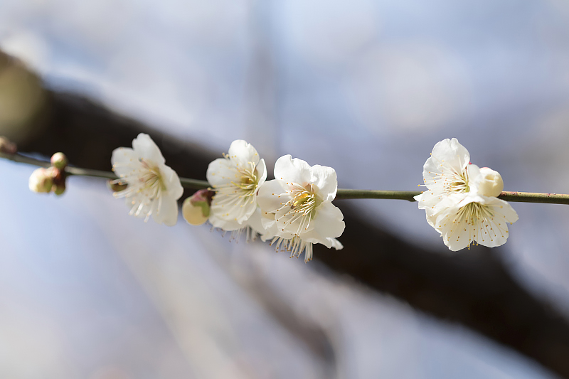 image0237